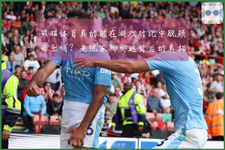 熊猫体育真的能在游戏对比中脱颖而出吗？老玩家聊聊这背后的真相与体验差异